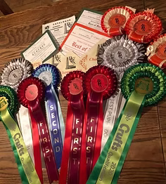 Medals