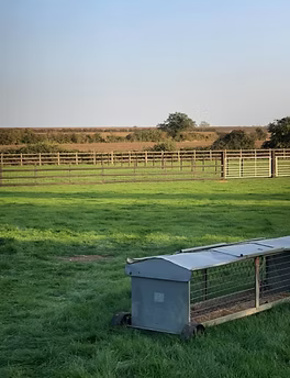 Farm