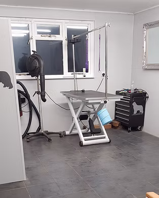 Grooming Salon Doors